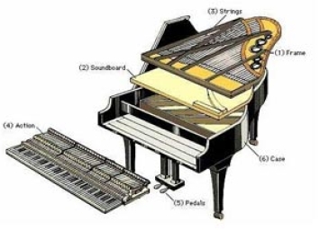 NHỮNG ĐIỂM KHÁC BIỆT GIỮA ĐÀN PIANO VÀ ĐÀN ORGAN