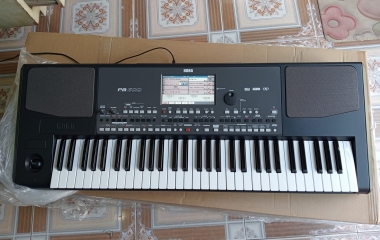 Bán đàn organ KORG PA600 qua sử dụng giá rẻ tại Huyện Bình Chánh TPHCM