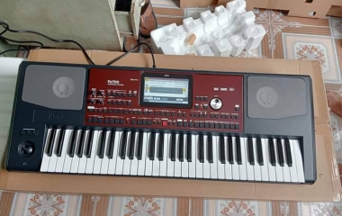 Bán đàn organ KORG PA700 HDMI CŨ giá rẻ tại Huyện Bình Chánh TPHCM